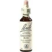 Nelsons BACHBLUETEN CHESTNUT BUD TROPFEN 20 ML