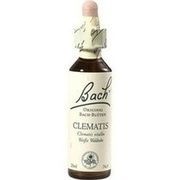Nelsons BACHBLUETEN CLEMATIS TROPFEN 20 ML
