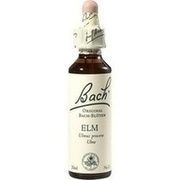 Nelsons BACHBLUETEN ELM TROPFEN 20 ML