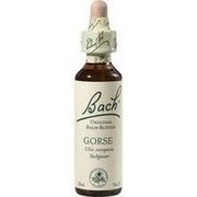 Nelsons BACHBLUETEN GORSE TROPFEN 20 ML