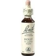 Nelsons BACHBLUETEN HOLLY TROPFEN 20 ML