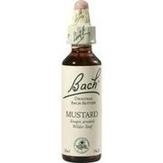 Nelsons BACHBLUETEN MUSTARD TROPFEN 20 ML