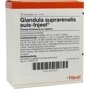 Biologische Heilmittel Heel GLANDULA SUPRAREN. SUIS INJEELE 1,1 ML, 10 St.
