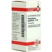 DHU-Arzneimittel PHELLANDRIUM AQUATICUM C 30 GLOBULI