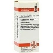 DHU-Arzneimittel SAMBUCUS NIGRA C 12 GLOBULI, 10 g