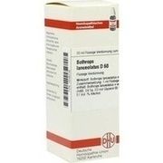 DHU-Arzneimittel BOTHROPS LANCEOLAT D60 DHU DIL, 20 ml