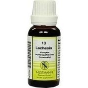 Nestmann Pharma LACHESIS KOMPLEX NESTMANN 13 TROPFEN