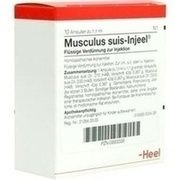 Biologische Heilmittel Heel MUSCULUS SUIS INJEELE, 10 St.