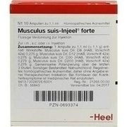 Biologische Heilmittel Heel MUSCULUS SUIS INJEELE FORTE, 10 St.