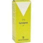 Nestmann Pharma LYCOPUS H NR. 170 TROPFEN, 50 ml