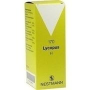 Nestmann Pharma LYCOPUS H NR. 170 TROPFEN, 100 ml