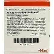 Biologische Heilmittel Heel VESICA URINARIA SUIS INJEELE, 10 St.