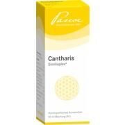 Pascoe CANTHARIS SIMILIAPLEX TROPFEN, 50 ml