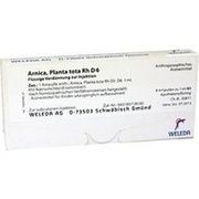 Weleda ARNICA PLANTA TOTA RH D 6 AMP., 8 x 1 ml