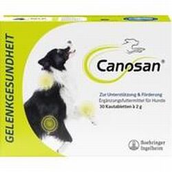 Boehringer Ingelheim Canosan für Hunde Kautabletten 30 Stk.