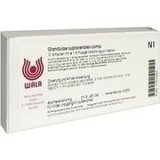 Wala GLANDULAE SUPRAREN. COMP. AMP., 10 x 1 ml