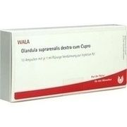 Wala GLANDULA SUP DEX CUM CUPRO AMP, 10 x 1 ml