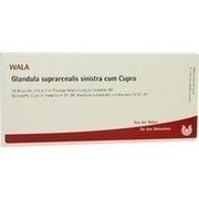 Wala GLANDULA SUP SIN CUM CUPRO AMP, 10 x 1 ml