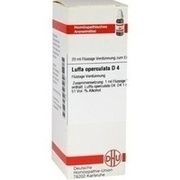 DHU-Arzneimittel LUFFA OPERCULATA D 4 DIL., 20 ml