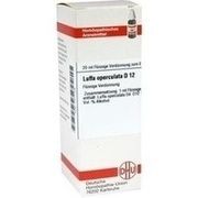 DHU-Arzneimittel LUFFA OPERCULATA D 12 DIL., 20 ml