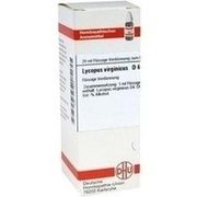 DHU-Arzneimittel LYCOPUS VIRG. D 6 DIL. 20 ML DILUTION