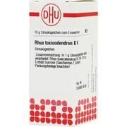 DHU-Arzneimittel RHUS TOXICODENDRON D 6 GLOBULI, 10 g