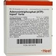 Biologische Heilmittel Heel ATP INJEELE FORTE 1,1 ML, 10 St.