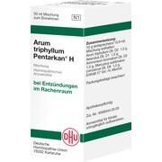 DHU-Arzneimittel ARUM TRIPHYLLUM PENTARKAN H DILUTION, 50 ml
