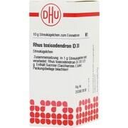 DHU-Arzneimittel RHUS TOX. D 30 GLOBULI, 10 g