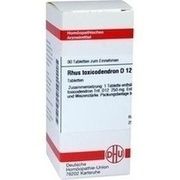 DHU-Arzneimittel RHUS TOXICODENDRON D12 TABLETTEN DHU-Arzneimittel RHUS TOXICODENDRON D12 TABLETTEN