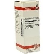DHU-Arzneimittel ROBINIA PSEUDACACIA D 4 DIL., 20 ml