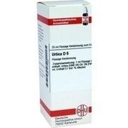 DHU-Arzneimittel URTICA D 6 DIL., 20 ml