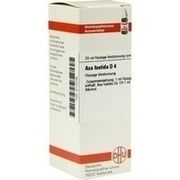 DHU-Arzneimittel ARUNDO MAURITANICA D4 DILUTION