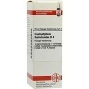 DHU-Arzneimittel CAULOPHYLLUM THALICTROIDES D4 DILUTION