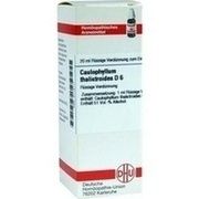 DHU-Arzneimittel CAULOPHYLLUM THALICTROIDES D6 DILUTION