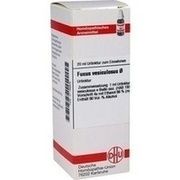 DHU-Arzneimittel FUCUS VESICULOSUS URTINKTUR D1 DILUTION