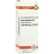DHU-Arzneimittel NAJA TRIPUDIANS D 6 DIL. 20 ML DILUTION