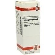 DHU-Arzneimittel SOLIDAGO VIRGAUREA URTINKTUR DILUTION