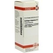 DHU-Arzneimittel SOLIDAGO VIRGAUREA D 2 DIL., 20 ml