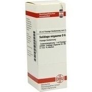 DHU-Arzneimittel SOLIDAGO VIRGAUREA D 6 DIL., 20 ml