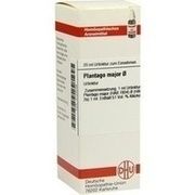 DHU-Arzneimittel PLANTAGO MAJOR URTINKTUR DILUTION
