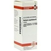 DHU-Arzneimittel BERBERIS AQUIFOLIUM URTINKTUR, 20 ml
