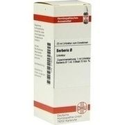 DHU-Arzneimittel BERBERIS URTINKTUR = D 1, 20 ml