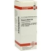 DHU-Arzneimittel VISCUM ALBUM D 6 DIL., 20 ml
