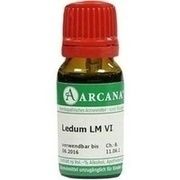 Arcana LM LEDUM VI, 10 ml