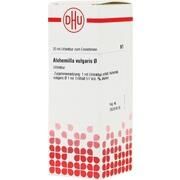 DHU-Arzneimittel ALCHEMILLA VULGARIS URTINKTUR DILUTION