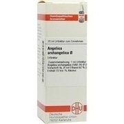 DHU-Arzneimittel ANGELICA ARCHANGELICA URTINKTUR = D 1, 20 ml