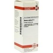 DHU-Arzneimittel AVENA SATIVA D 1 DIL., 20 ml
