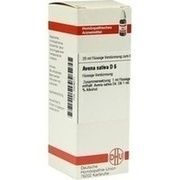 DHU-Arzneimittel AVENA SATIVA D 6 DIL., 20 ml