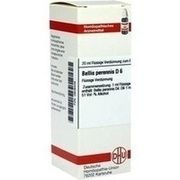 DHU-Arzneimittel BELLIS PERENNIS D 6 DIL., 20 ml